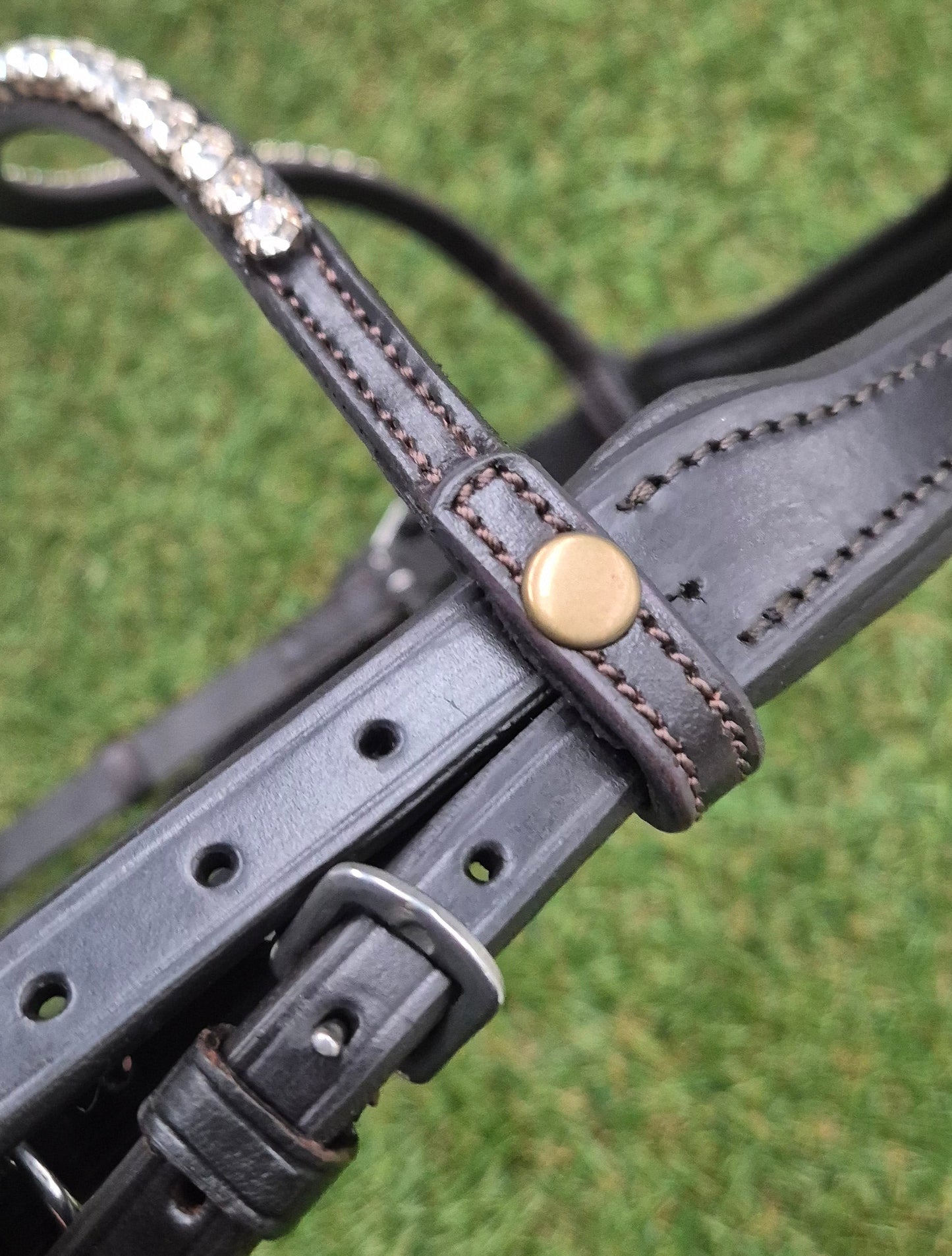 Cob Size Havana Premium Gel Snaffle Sales Bridle - No Reins