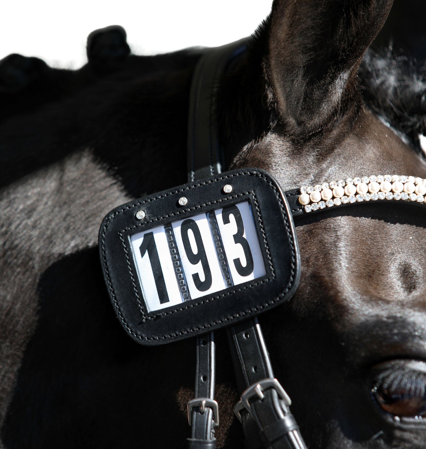 LEATHER BRIDLE NUMBER HOLDERS WITH CRYSTALS