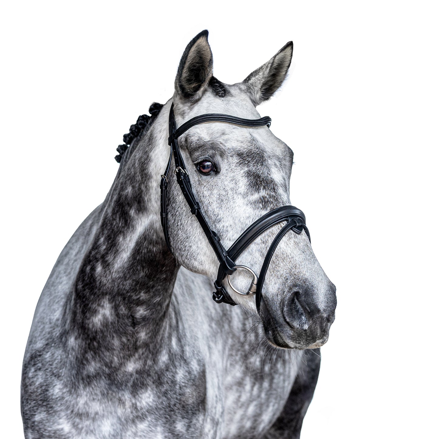Premium Black Snaffle Bridle 'Luna'