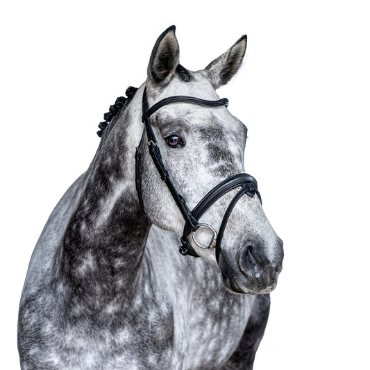 Premium Black Snaffle Bridle 'Luna'
