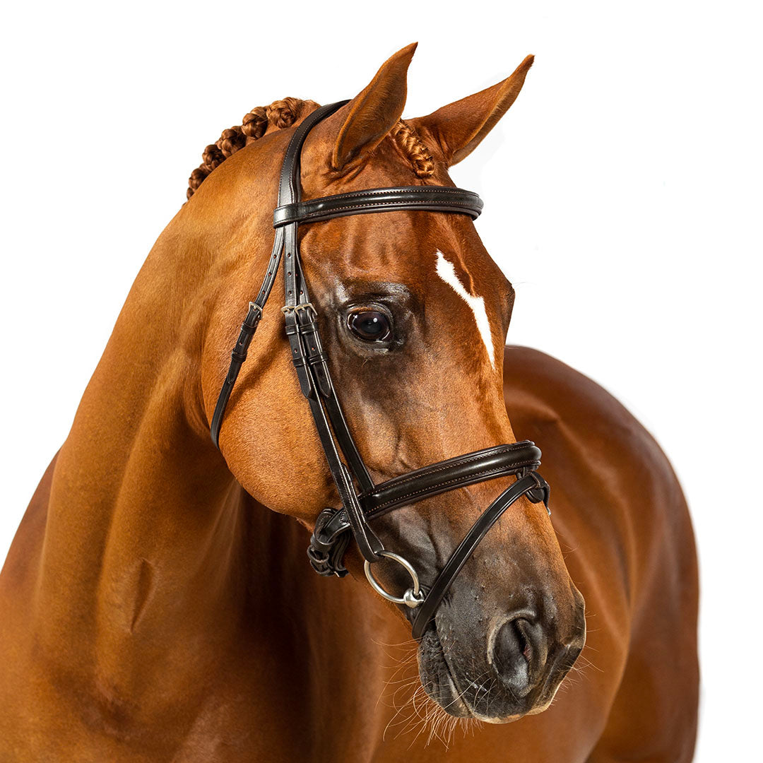Premium Black Snaffle Bridle 'Hope'