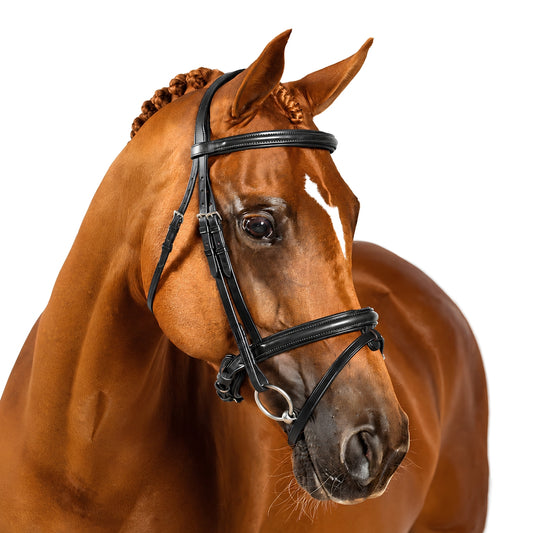 Premium Black Snaffle Bridle 'Hope'