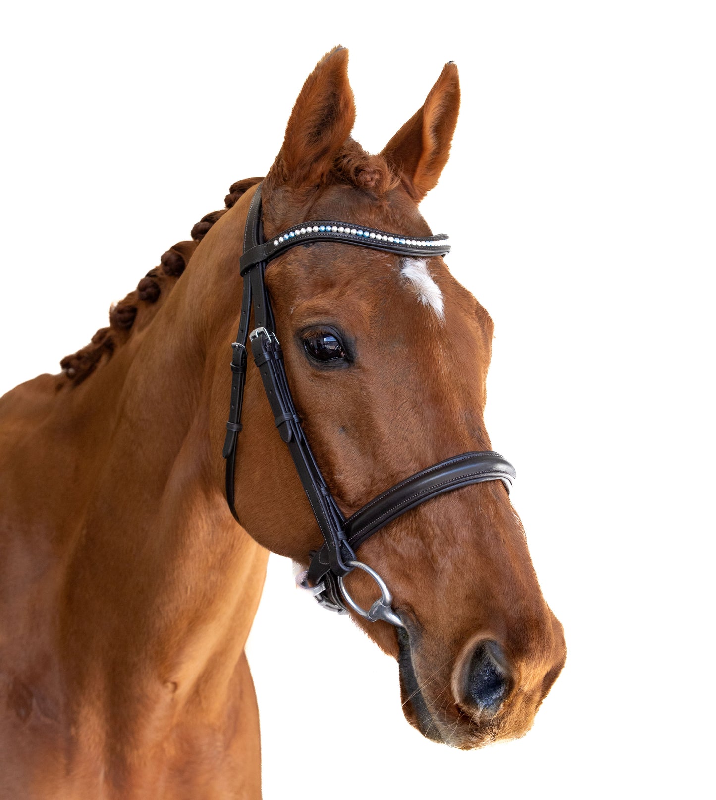 Premium Havana Snaffle Bridle 'Empress'