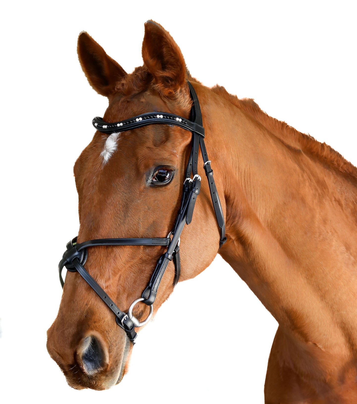 Premium Black Snaffle Bridle 'Dante'