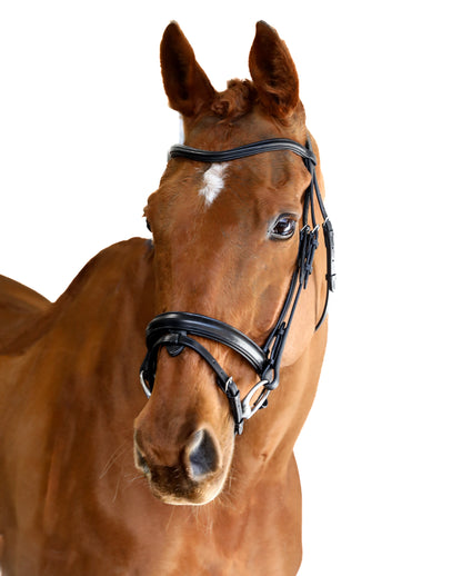 Premium Black Snaffle Bridle 'Luna'
