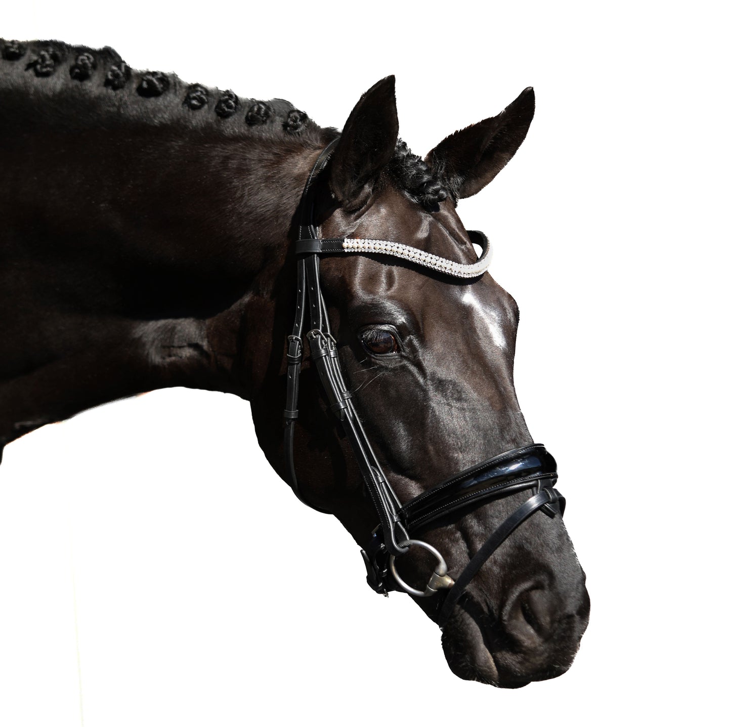 Premium Black Snaffle Bridle 'Prestige'