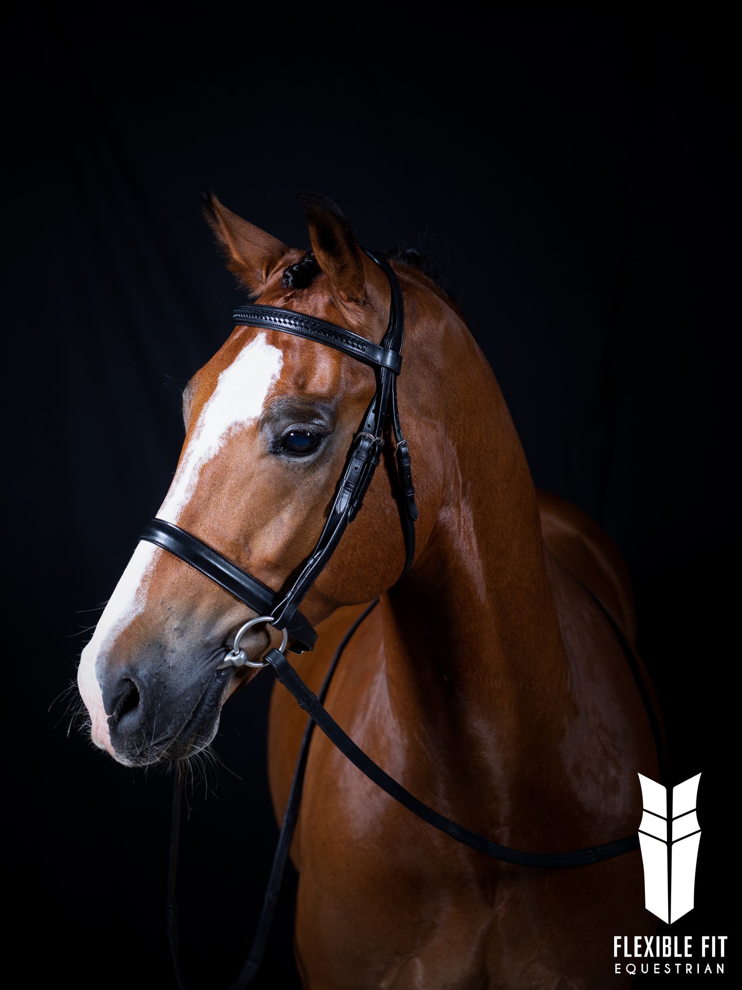 Premium Havana Show Snaffle Bridle 'Delilah'