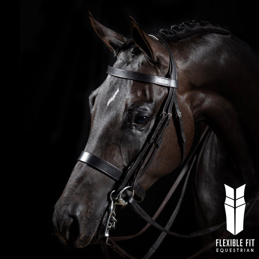 Premium Black Show Double Bridle 'Daisy'