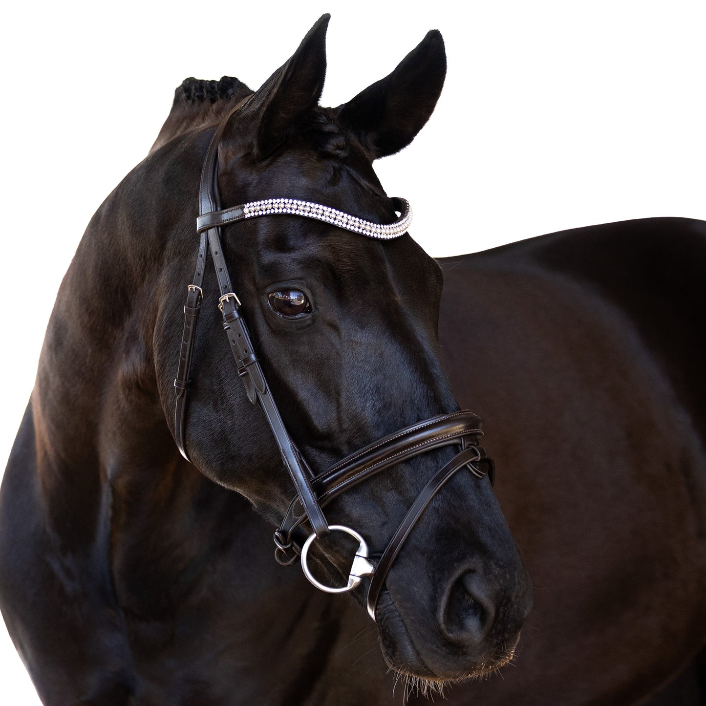 Premium Havana Snaffle Bridle 'Harper'