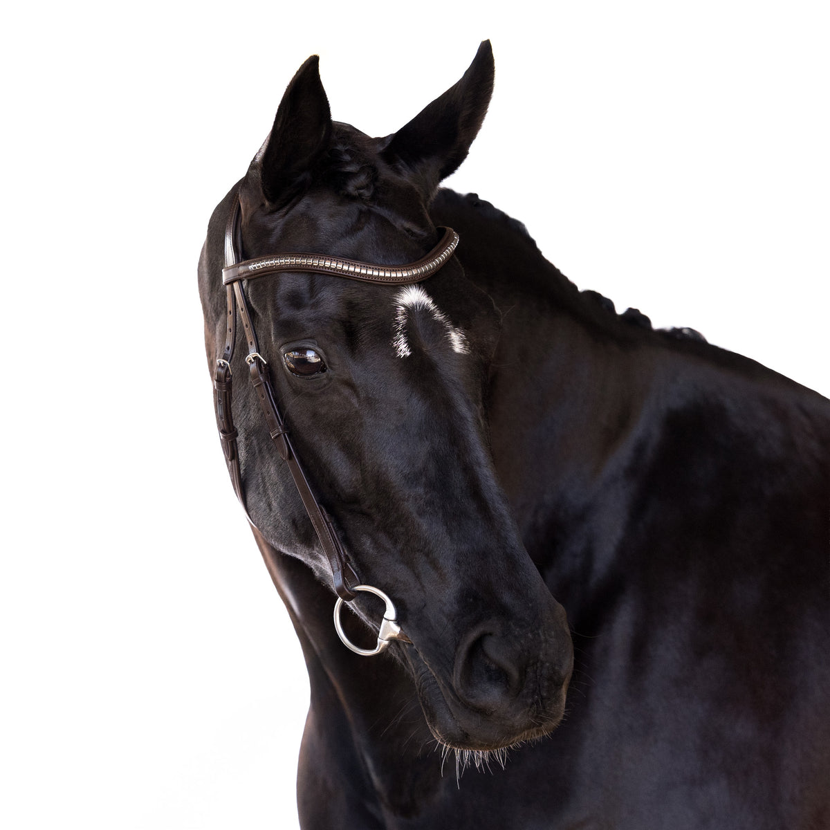 Black Nosebandless Bridle 'Summer'