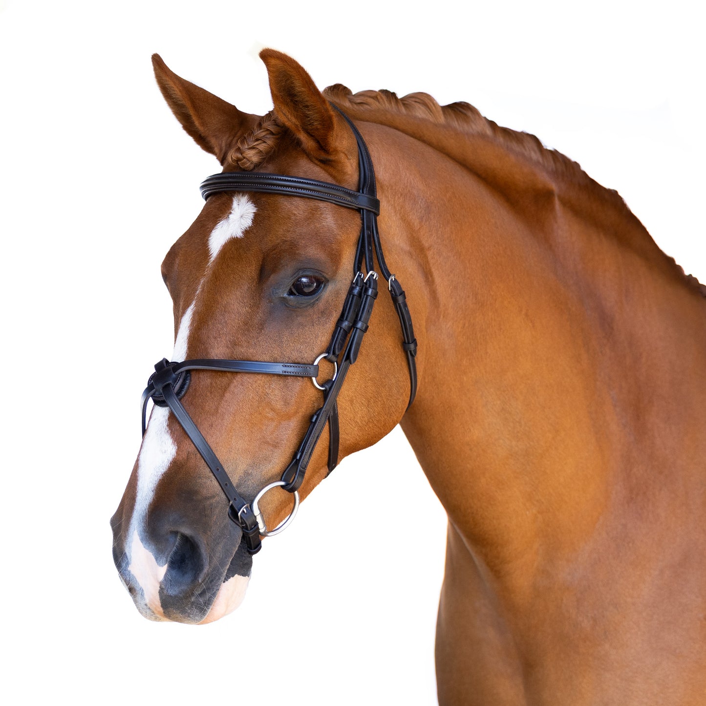 Premium Black Snaffle Bridle 'Zeus'