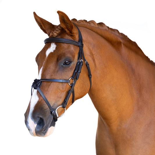 Premium Black Snaffle Bridle 'Zeus'