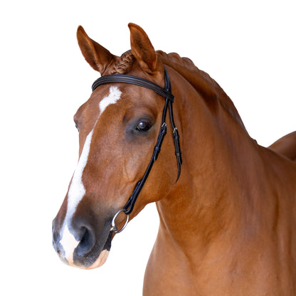 Havana Nosebandless Bridle 'Apollo'
