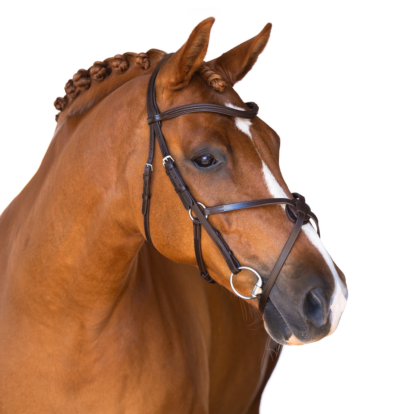 Premium Havana Snaffle Bridle 'Bella'
