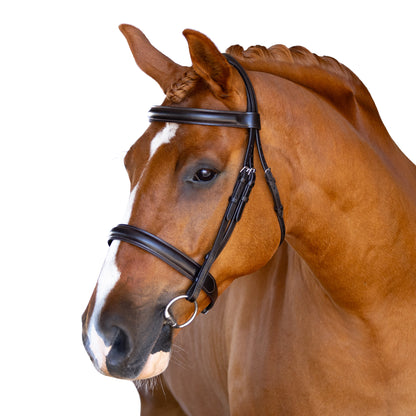 Premium Black Show Snaffle Bridle 'Oakley'