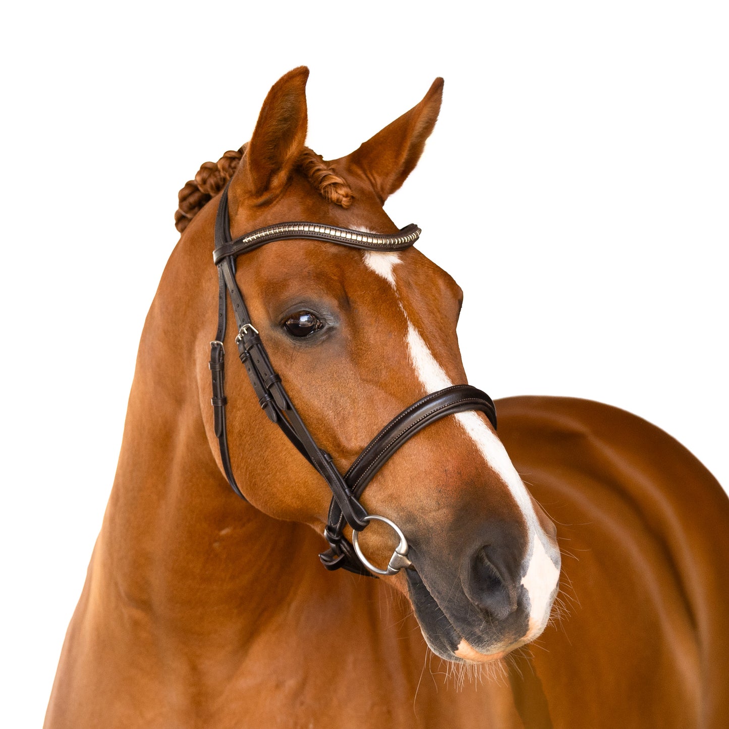 Premium Black Snaffle Bridle 'Onyx'