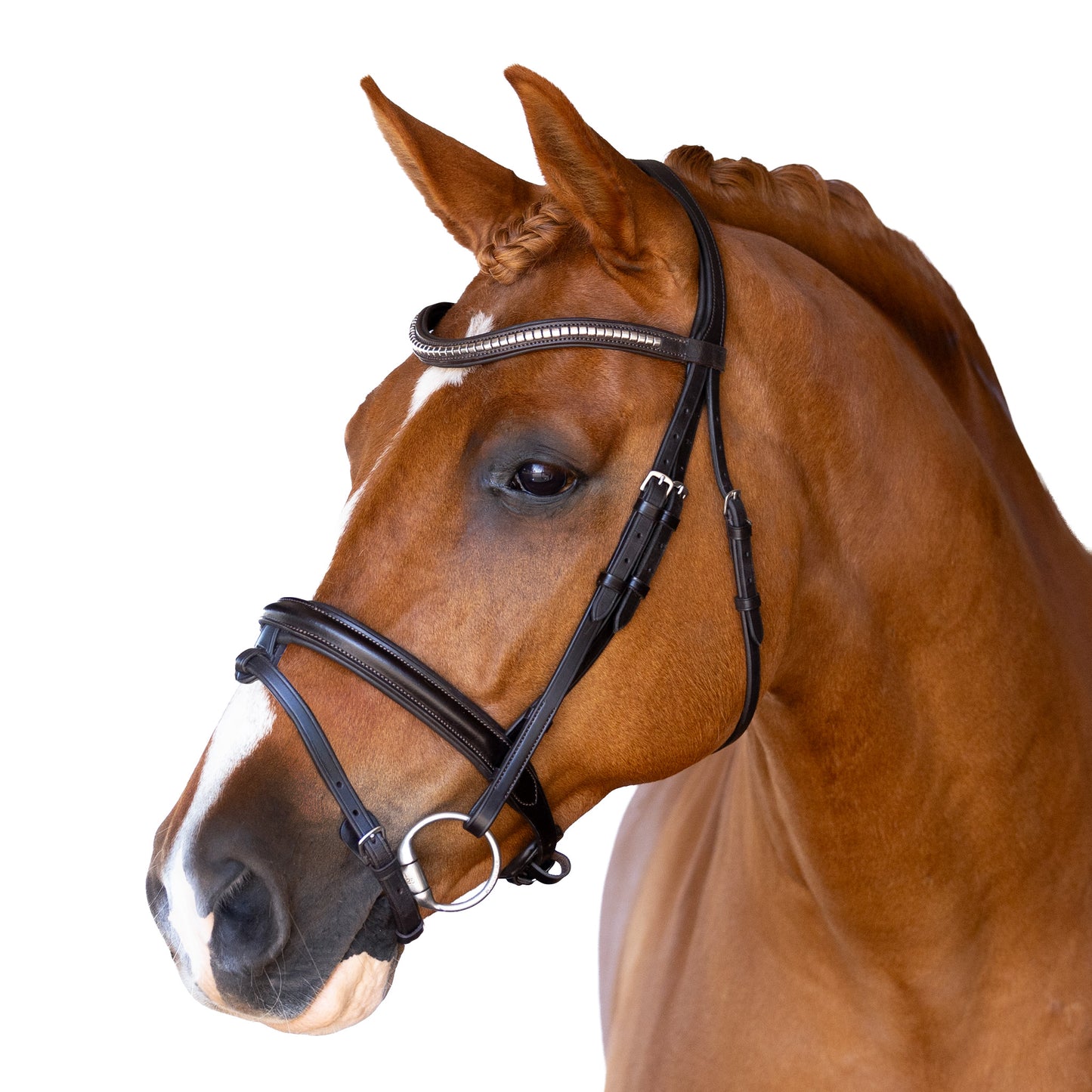 Premium Black Snaffle Bridle 'Onyx'