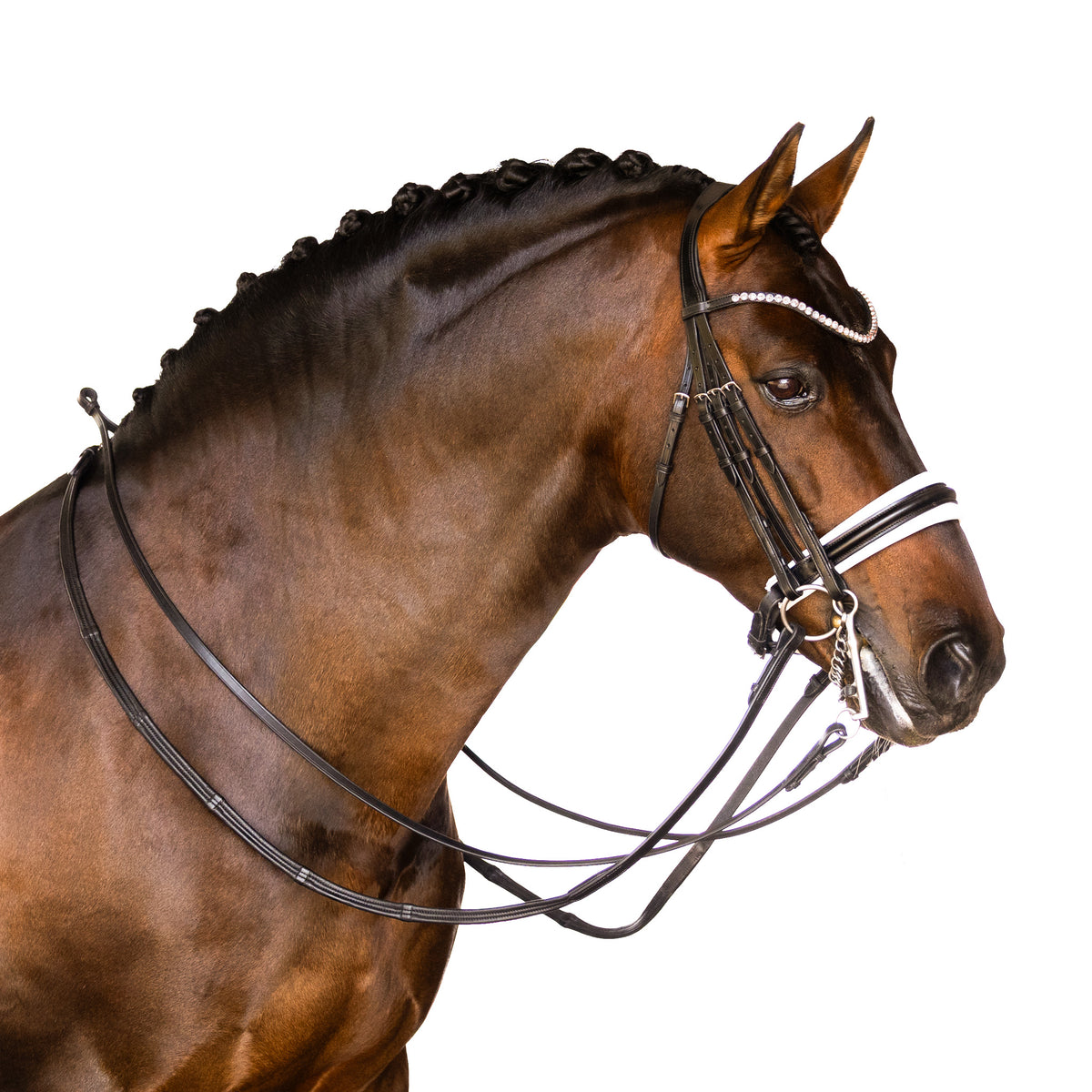 Premium Black Double  Bridle 'Braxton'