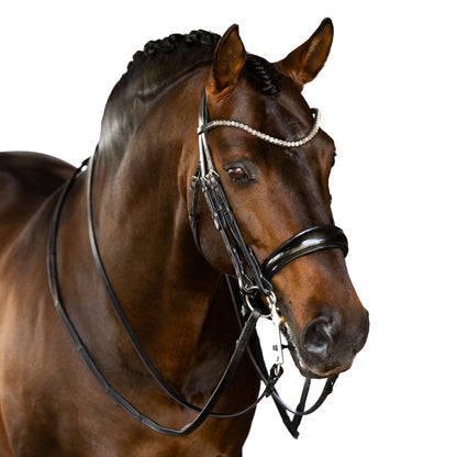 Premium Black Double Bridle 'Mira'
