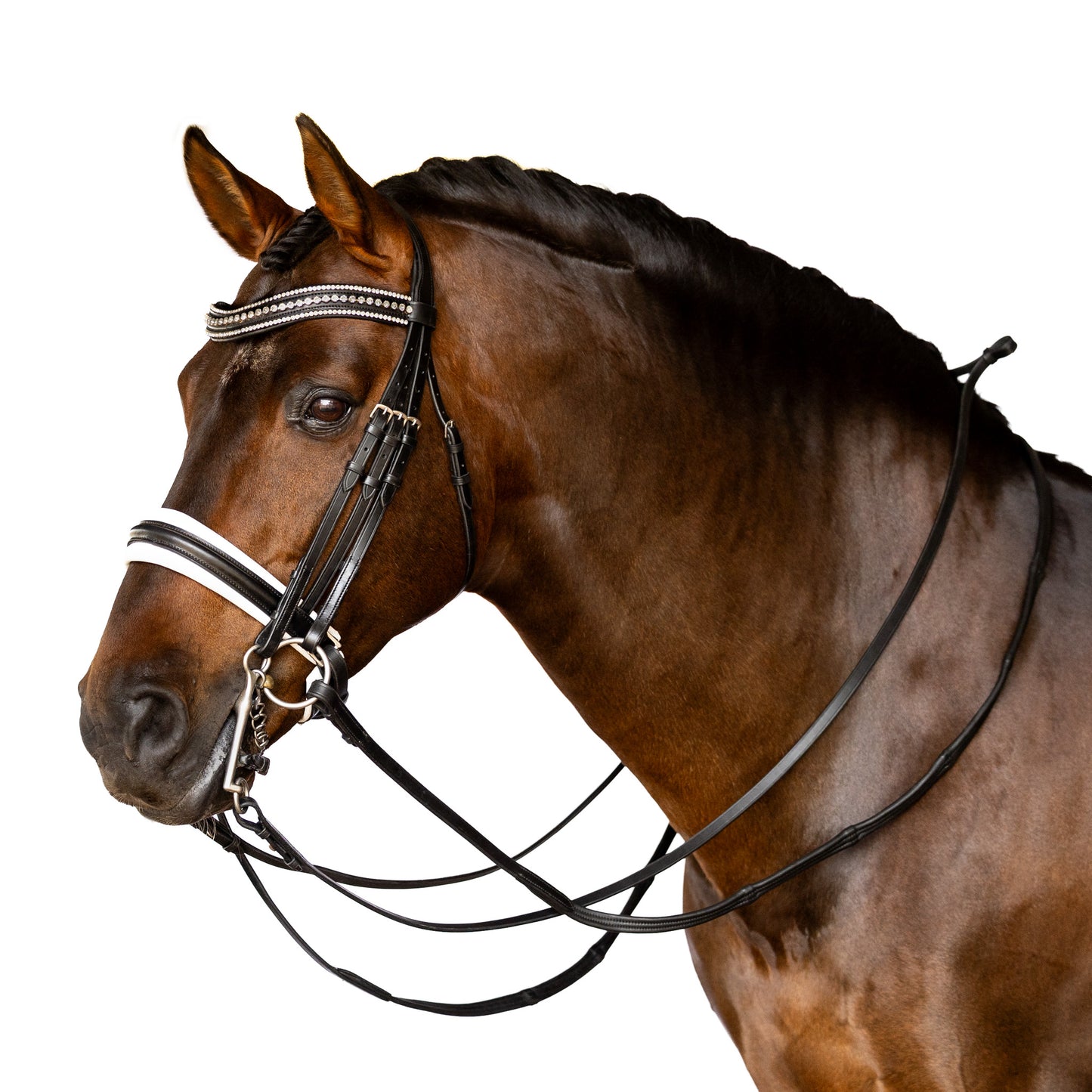 Premium Black Double Bridle 'Leila'
