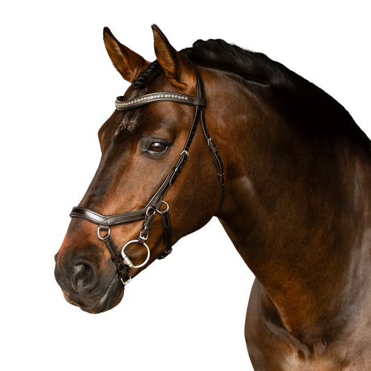Premium Black Comfort Bridle 'Hera'