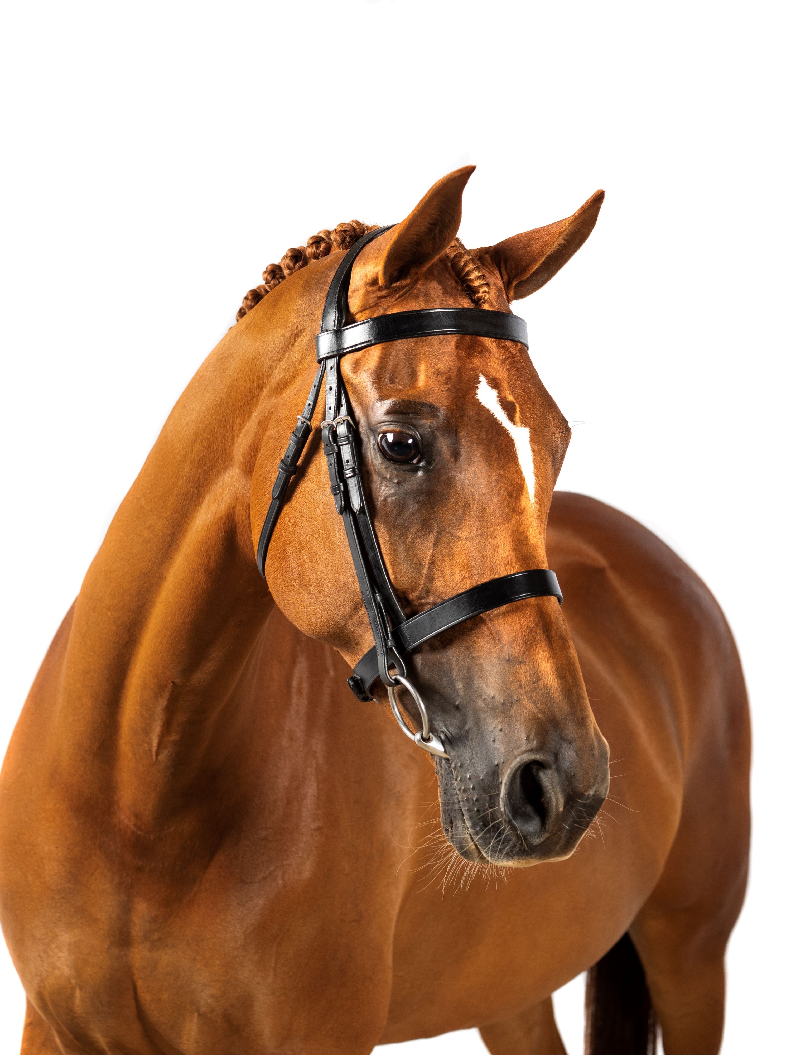 Premium Black Show Snaffle Bridle Siritara | FF Equestrian AU ...
