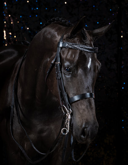 Premium Havana Double Show Bridle 'Maya'