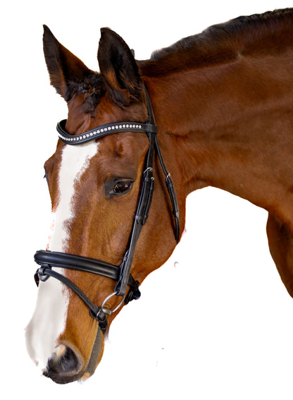 Premium Black Snaffle Bridle 'Benji'