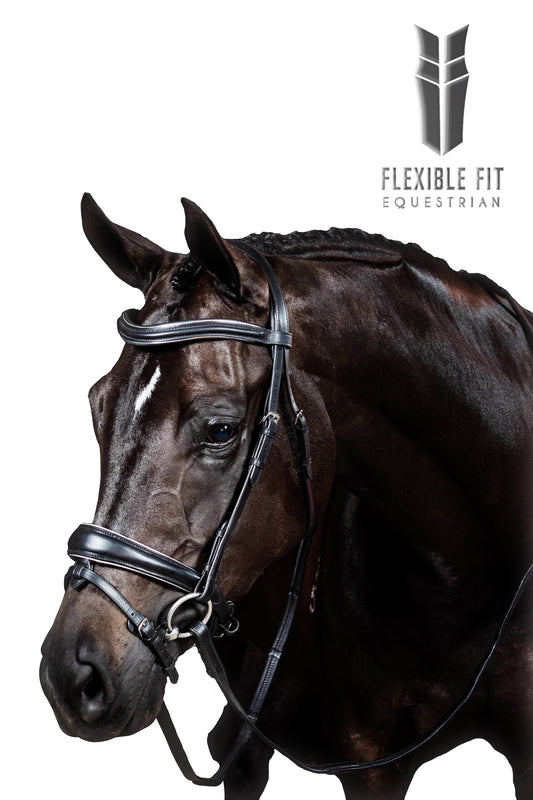 Premium Black Snaffle Bridle 'Columbus'