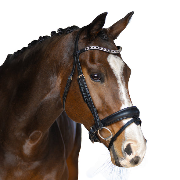 Premium Black Snaffle Bridle 'Cadence'