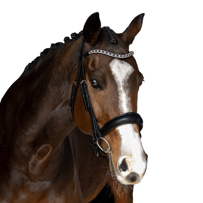 Premium Black Snaffle Bridle 'Cadence'