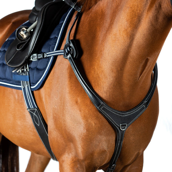 AR 5 Point Leather Breastplates