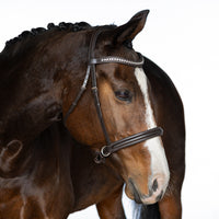 BRI017 Havana Gel Bitless Bridle