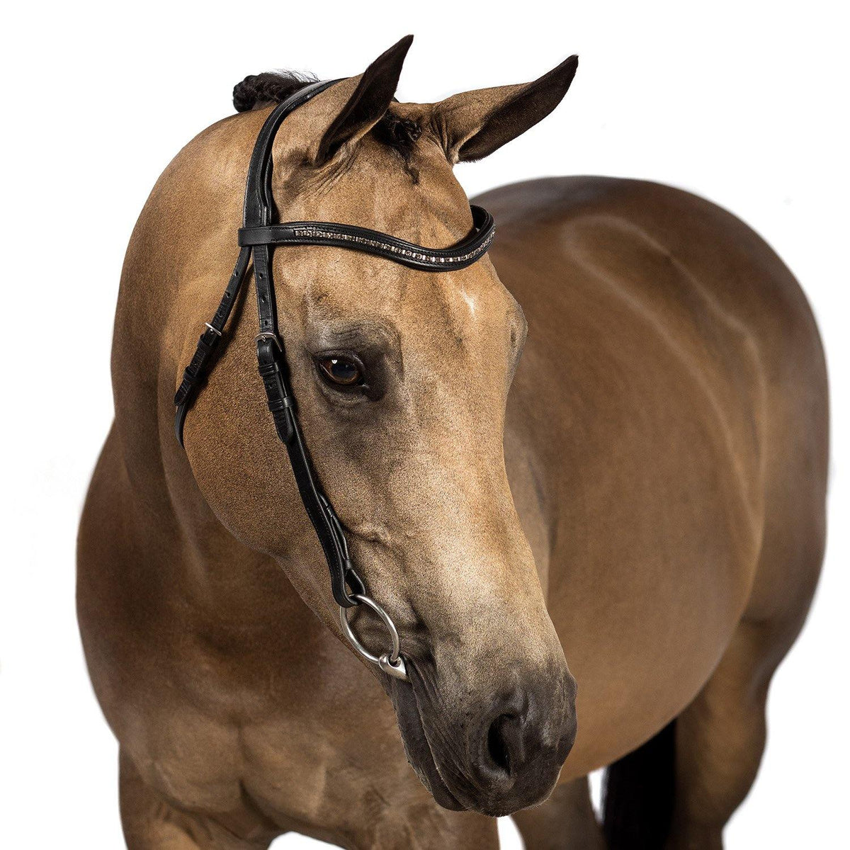 Havana Nosebandless Bridle 'Ivy'