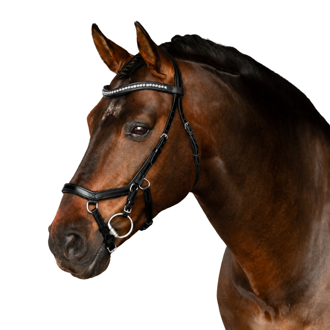 Premium Black Comfort Bridle 'Hera'