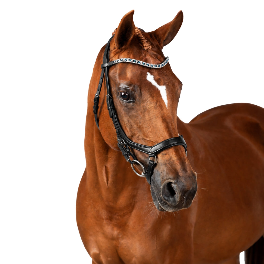 Premium Black Comfort Bridle 'Poseidon'