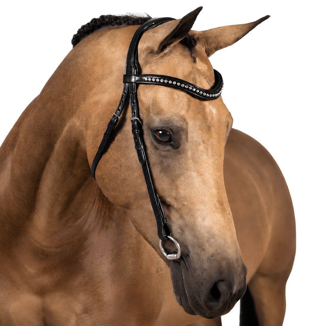 Black Nosebandless Bridle 'Sophia'