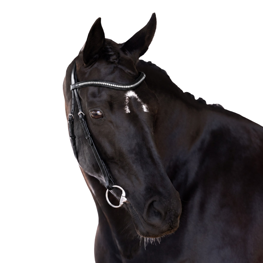 Black Nosebandless Bridle 'Summer'