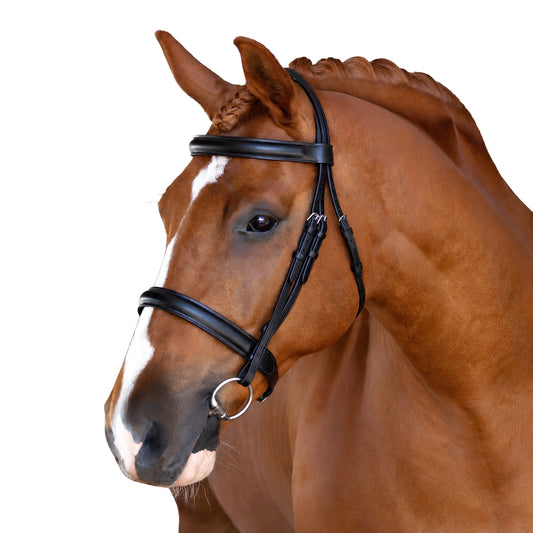 Premium Black Show Snaffle Bridle 'Oakley'