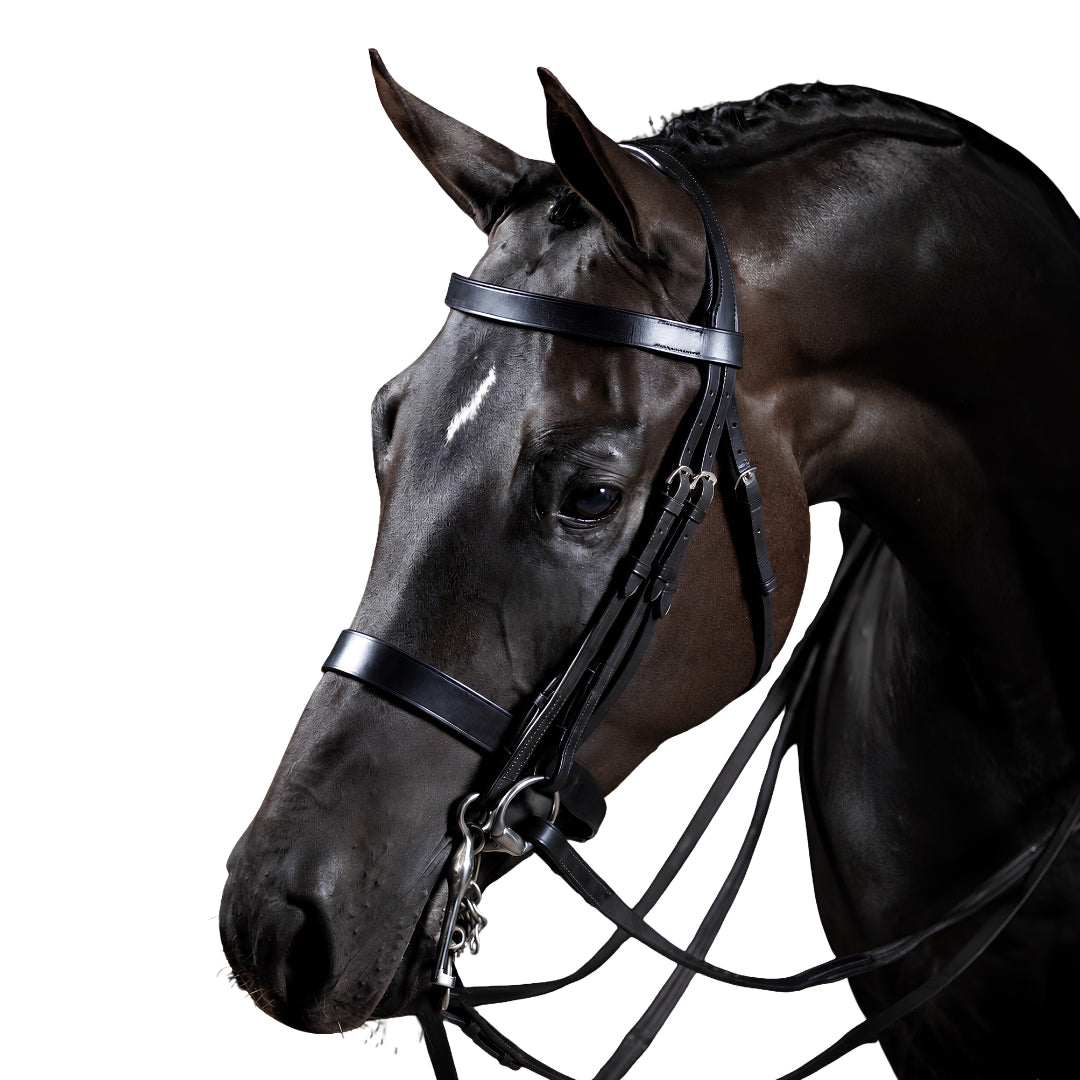 Premium Black Show Double Bridle 'Daisy'