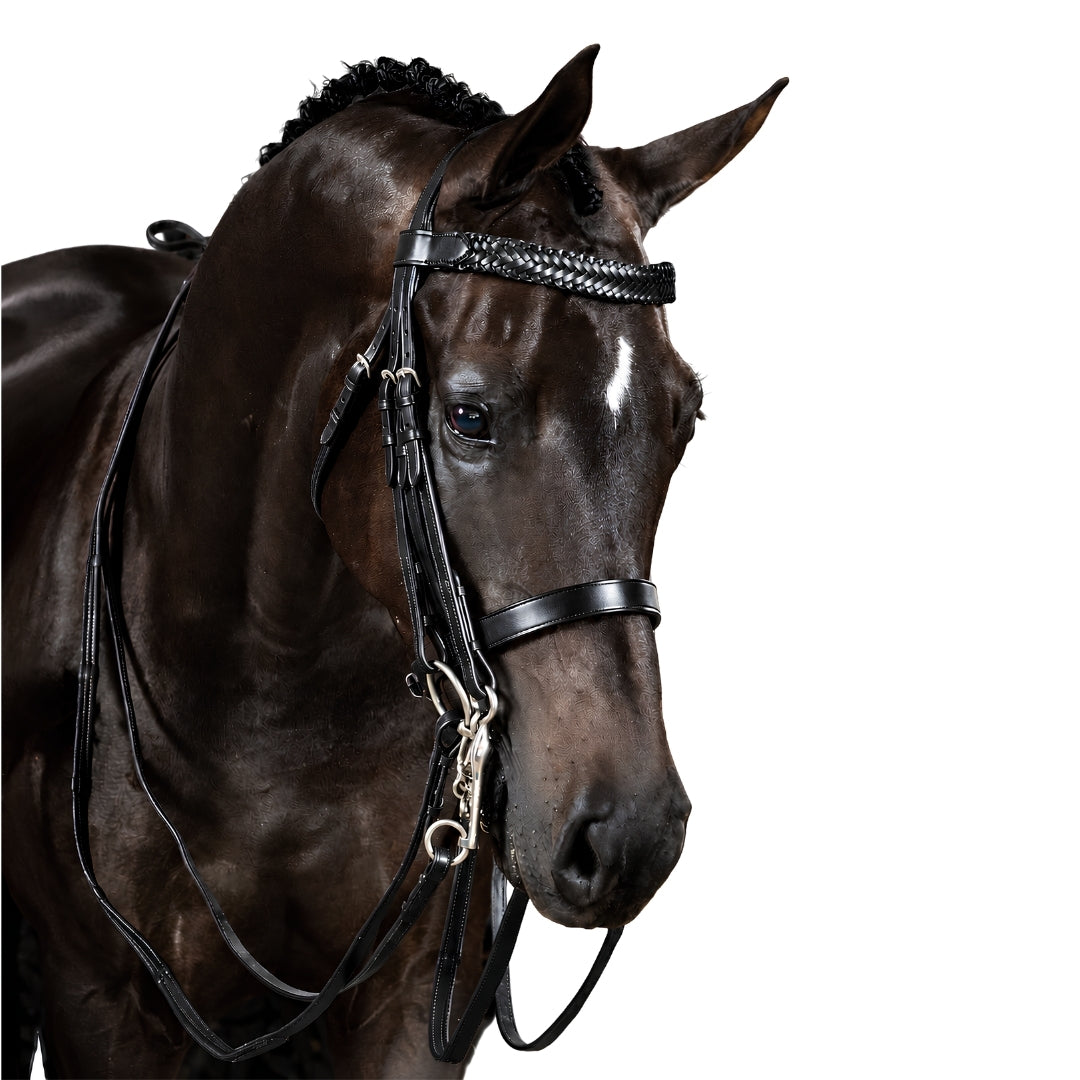 Premium Havana Double Bridle 'Maya'