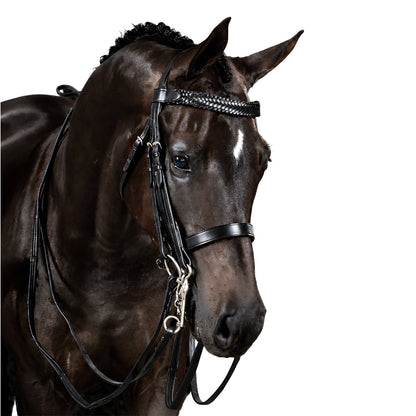 Premium Havana Double Bridle 'Maya'