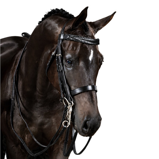 Premium Havana Double Bridle 'Maya'