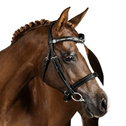 Premium Black Snaffle Bridle 'Teddy'