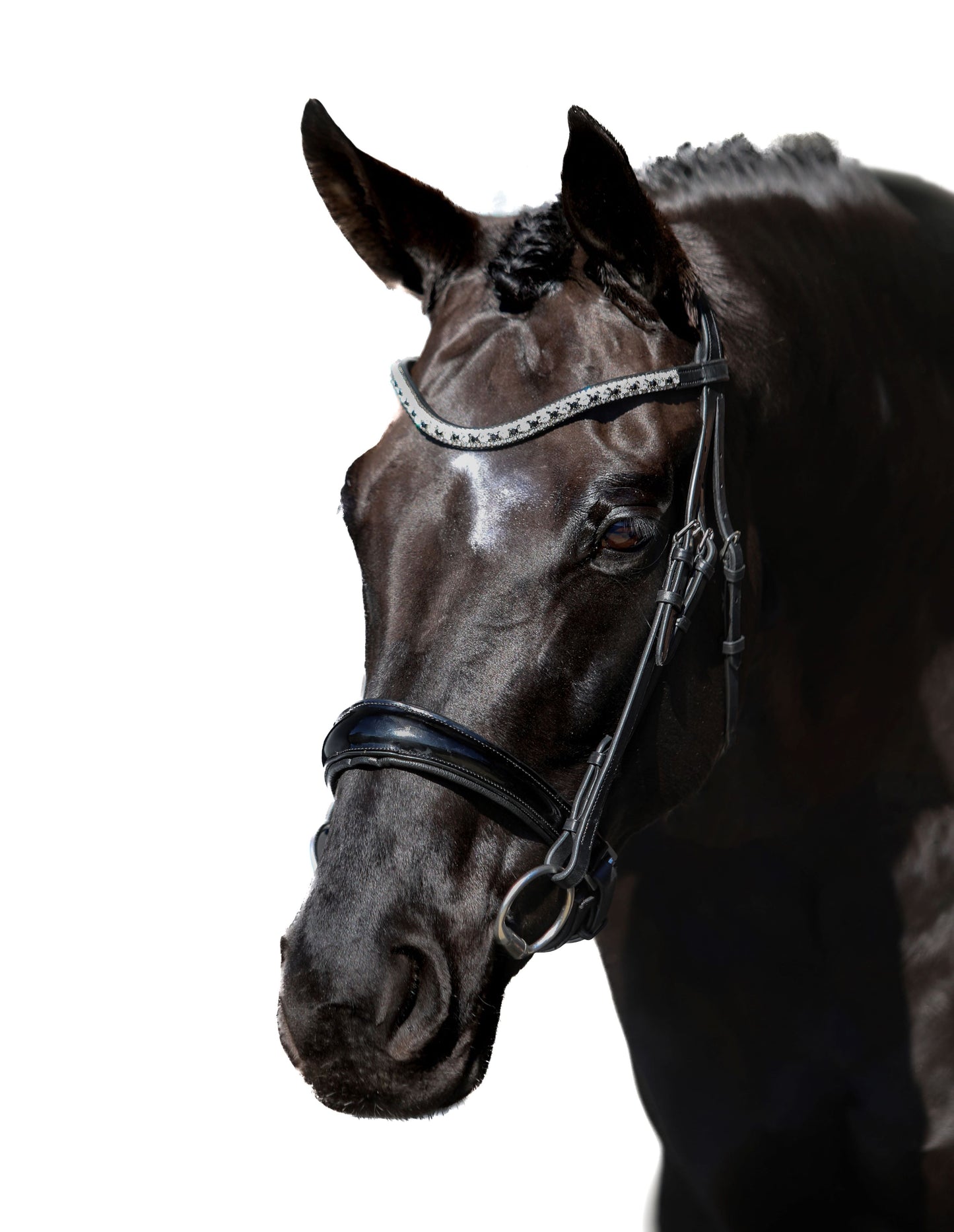 Premium Black Snaffle Bridle 'Eternity'
