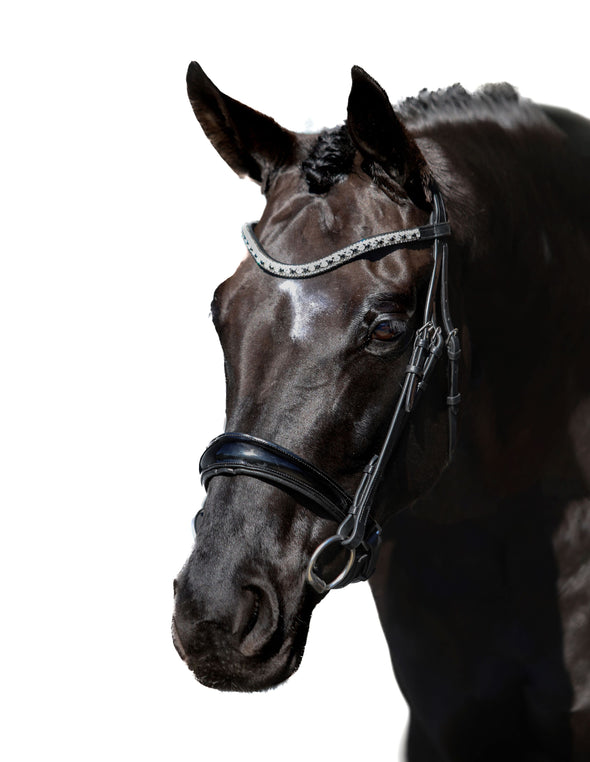 Premium Black Snaffle Bridle 'Eternity'