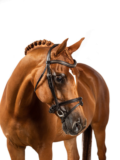 Clincher Wave Snaffle Bridle
