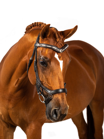 Premium Havana Comfort Bridle 'Ventura'
