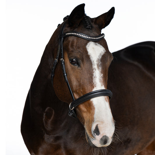 Black Bitless Bridle 'Constellation'