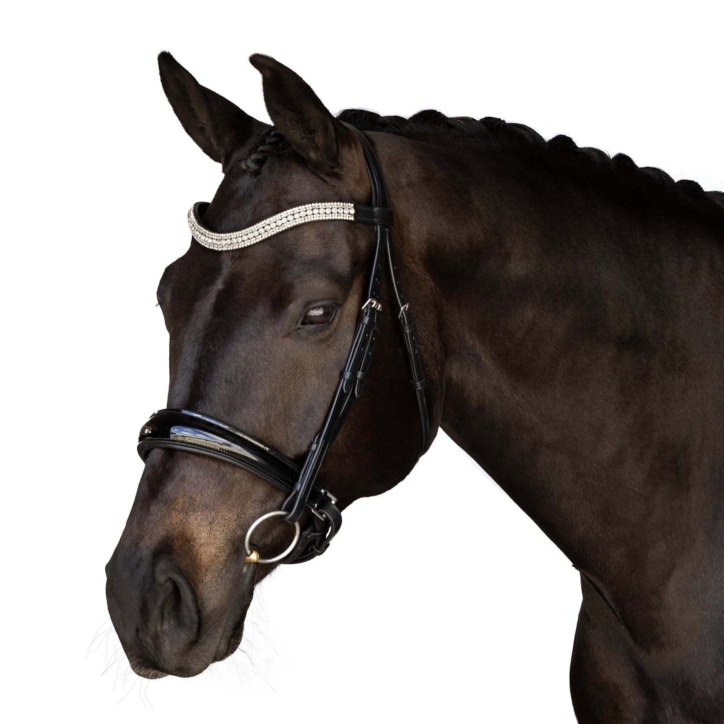 Premium Havana Snaffle Bridle 'Titan'